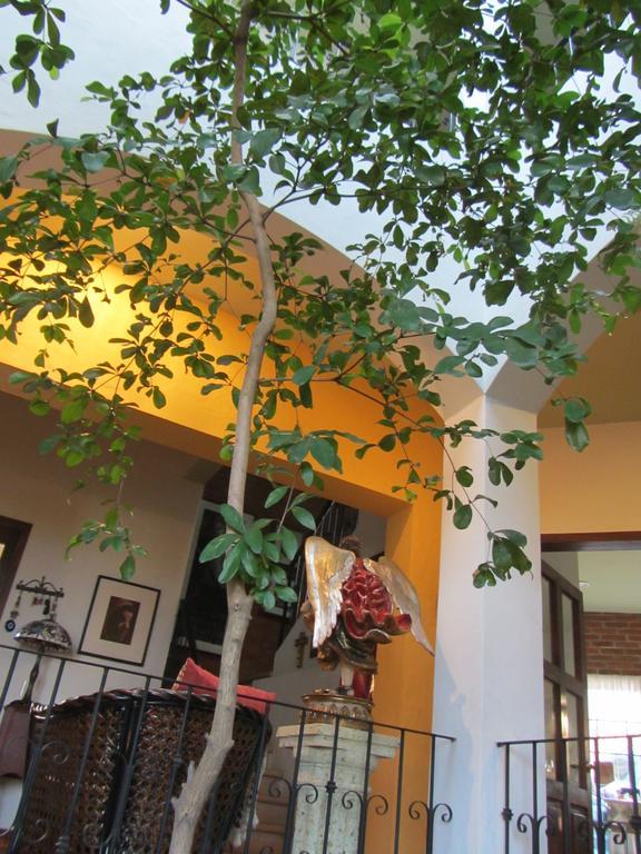 La Colorada Acomodação com café da manhã Zacualpan Exterior foto